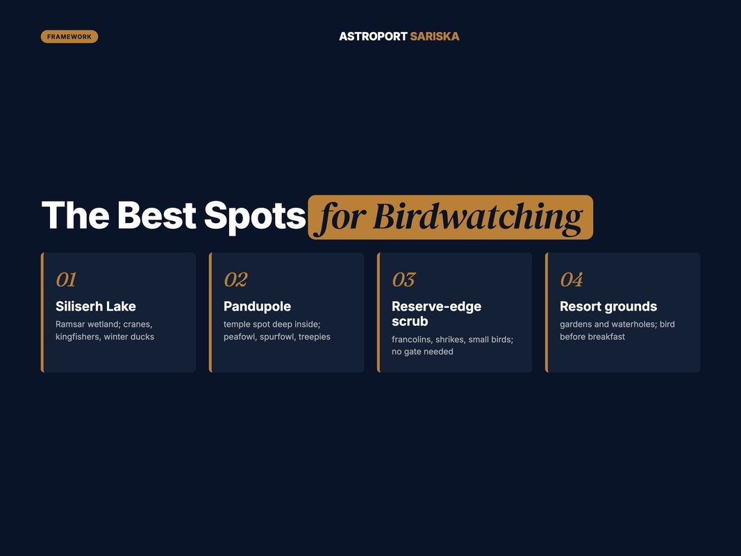 Card of the top birdwatching spots around Sariska and what each offers
