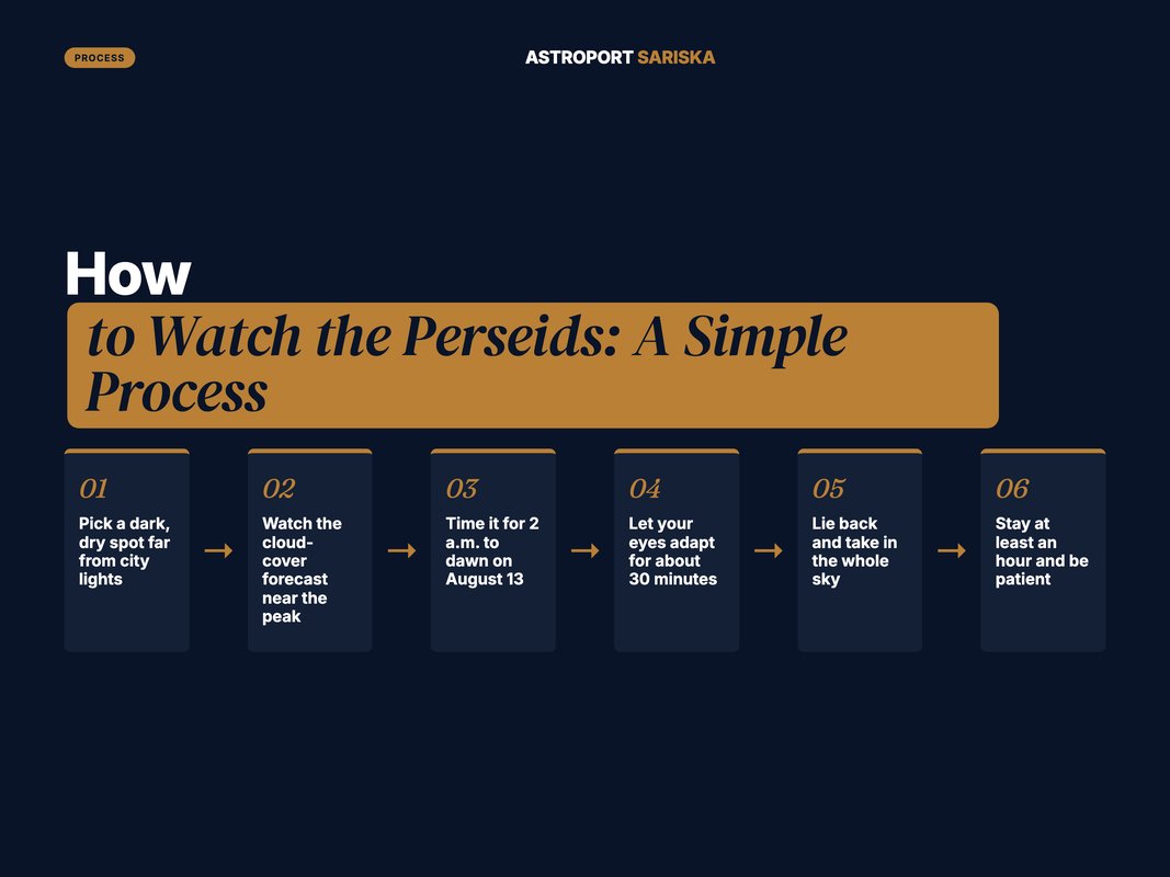 Numbered step-by-step guide on how to watch the Perseids meteor shower