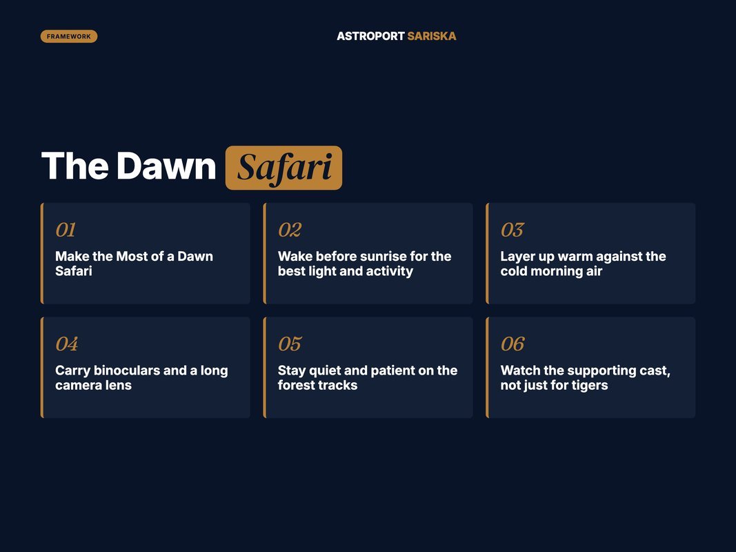 Numbered framework for getting the most from a dawn tiger safari