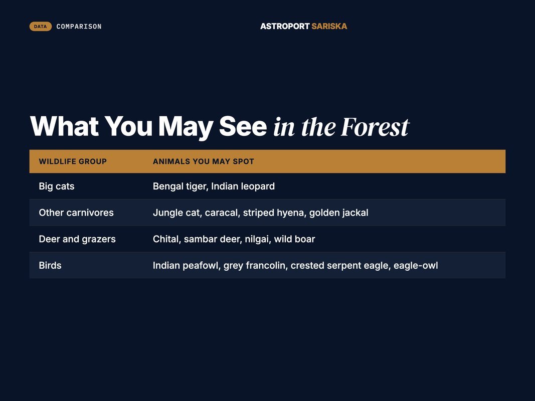 Markdown table of wildlife you may spot on a Sariska tiger safari