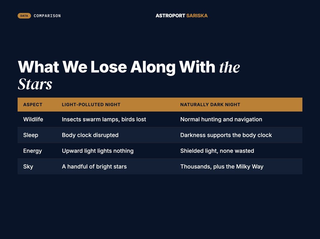 Comparison of what a city loses and a dark sky preserves at night