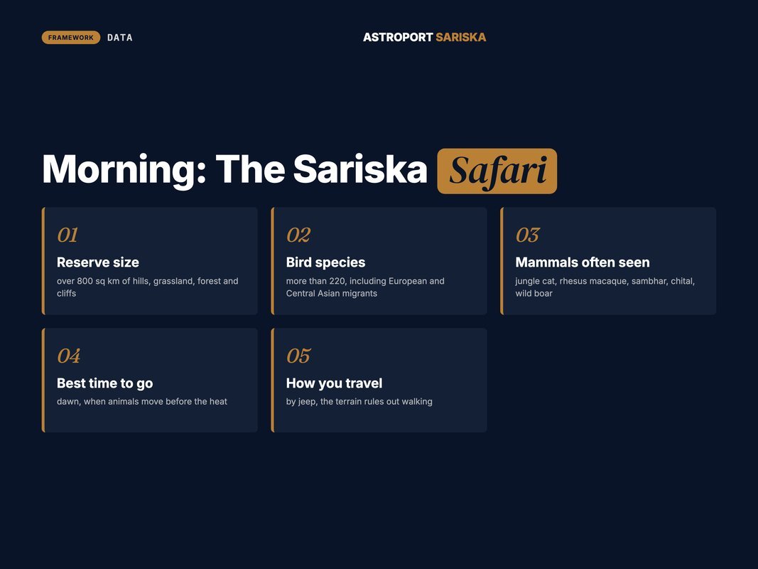 What you can expect to see on a Sariska jeep safari