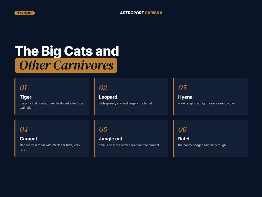 The carnivores of Sariska, from tiger to ratel