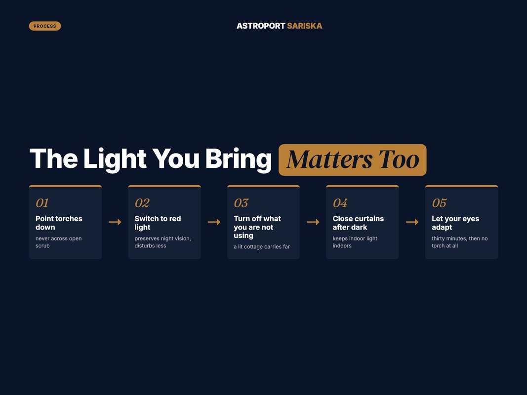 Five low-impact lighting habits for a dark-sky stay