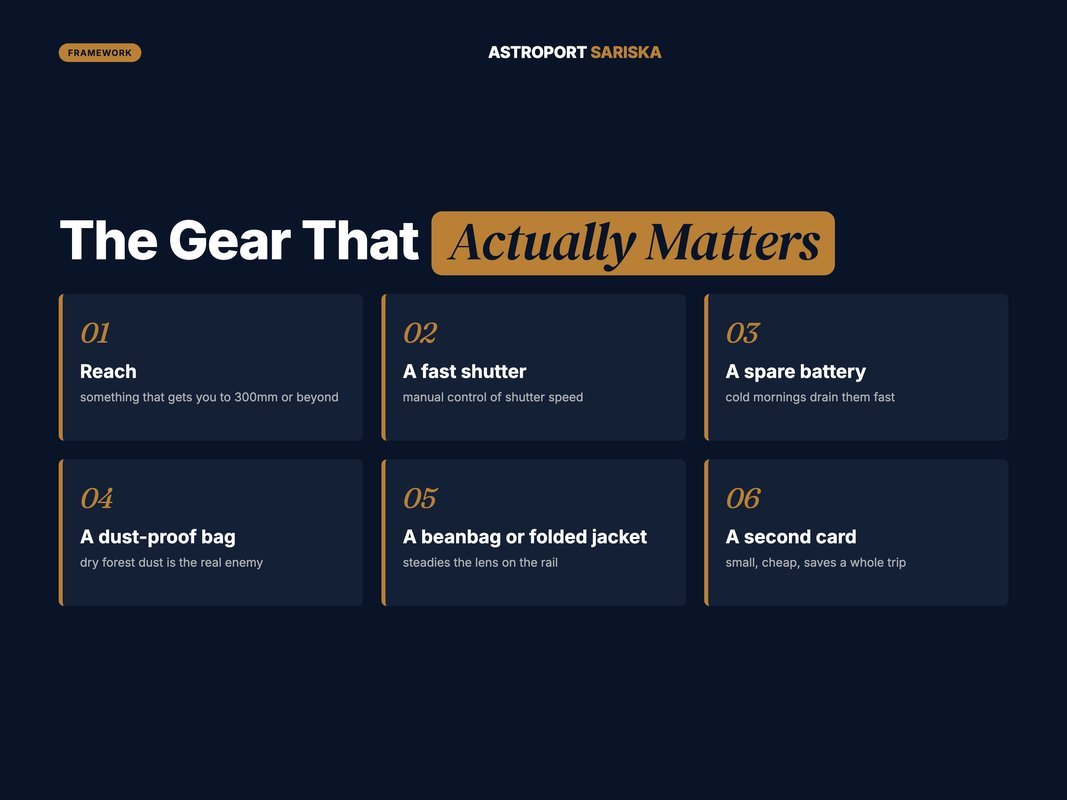 Ordered hierarchy of safari photography gear that actually matters
