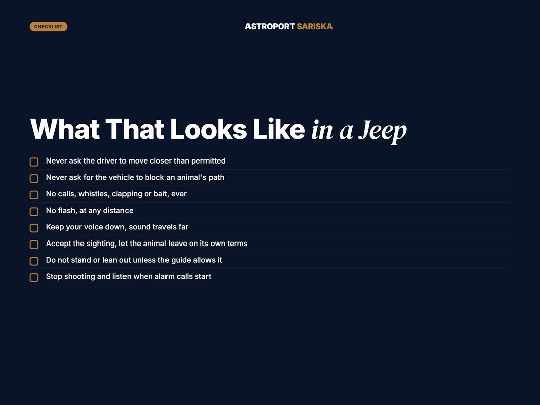 Checklist of ethical rules to follow inside a safari vehicle