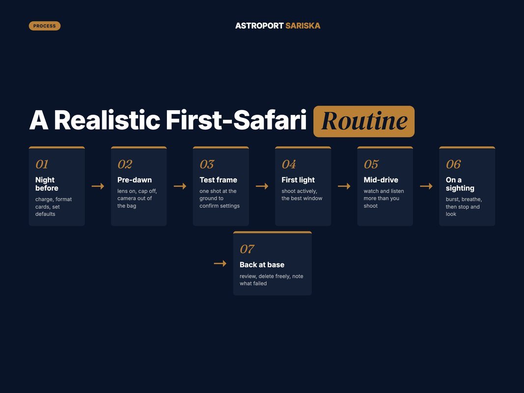 Seven-stage routine for a first safari photography drive